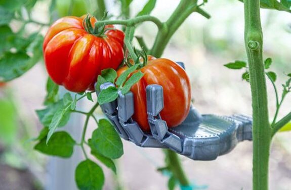 Profit as Robots Infiltrate Farming With This 1 ETF
