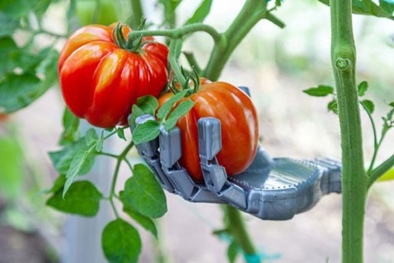 agricultural robotics