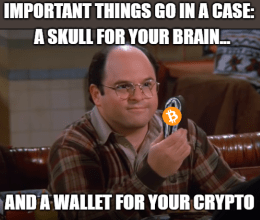 Important things case Crypto wallet Robinhood Costanza meme small
