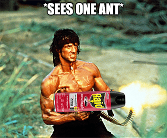 Terminix TMX upgrade sees one ant Rambo meme