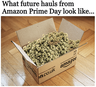 Future hauls from Prime Day cannabis meme