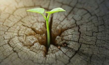 renewables ways to profit