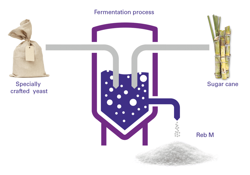 fermentation process stevia sugar
