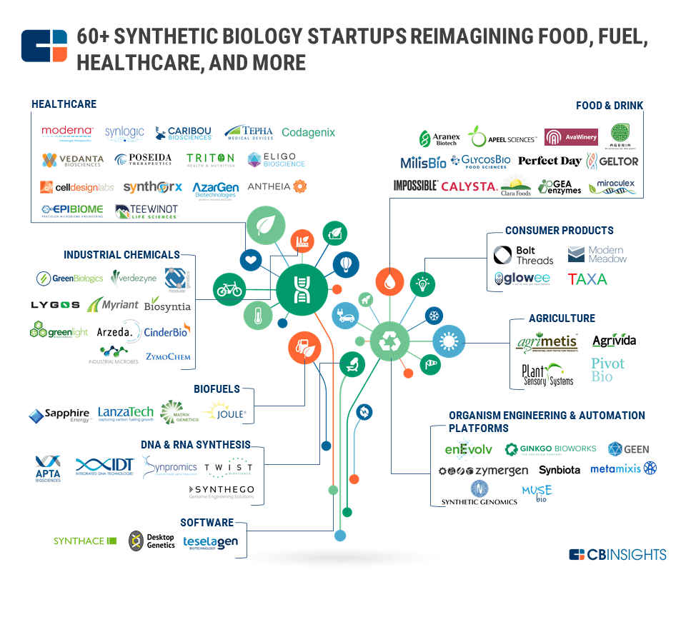 synthetic biology startups food fuel healthcare