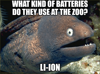 Lithium batteries at zoo li-ion eel pun meme
