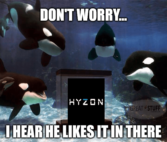 Hyzon Killer Whale He Likes It Meme Big