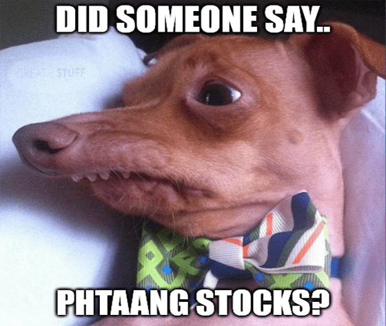 PHTAANG Stocks Dog Meme Big
