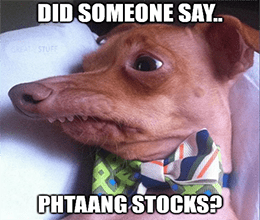 PHTAANG Stocks Dog Meme Small