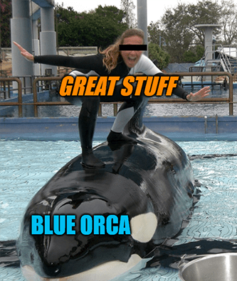 Great Stuff Standing On Blue Orca Meme