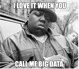Love It When You Call Me Big Data Biggie Meme