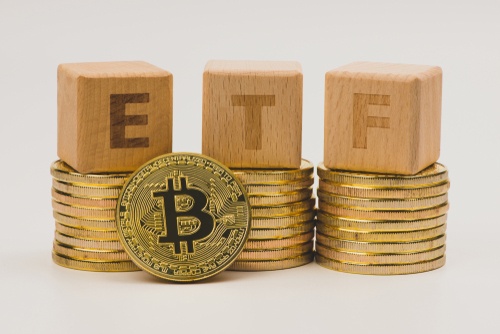 Unusual Options Activity: Bullish on Tesla... and Bitcoin?