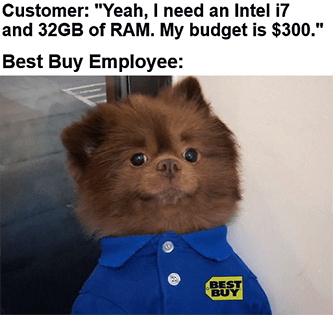 Best Buy Doggo RAM on a Budget Meme