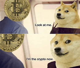 Look at Me Bitcoin Doge Meme