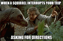 When A Squirrel Interrupts Your Trip Dinosaur Mushroom Meme