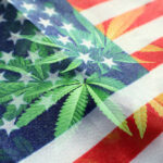 cannabis reform