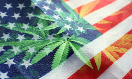 cannabis reform