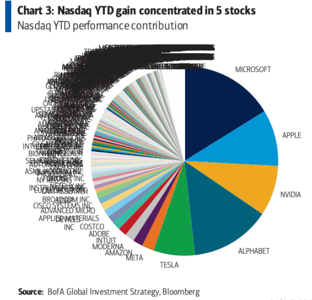 Nasdaq YTD gain 5 stocks