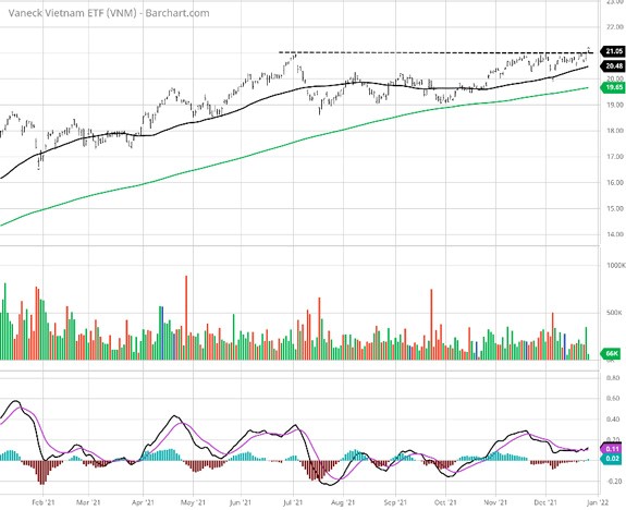 VNM ETF 2021