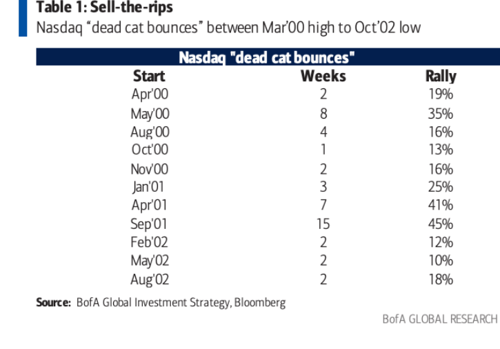 Nasdaq "dead cat bounces"