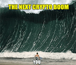 Crypto Big Wave Surfer on Beach Meme