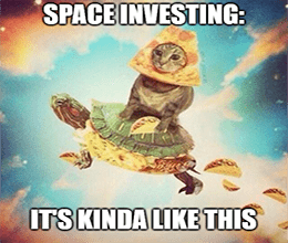 Pizza Cat Space Investing Meme