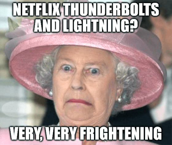 Netflix Bears Need to Chill