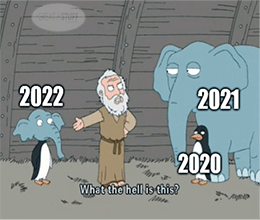 Noah's Ark What's This 2020/2021/2022 Meme