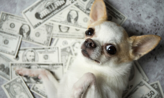 Invest in This Alpha Dog of the Dow