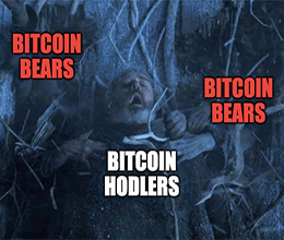 Hodl The Door Bitcoin GoT Meme