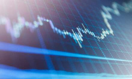 Last Week's Price Action: Baby Bull Market or Dead Cat Bounce?