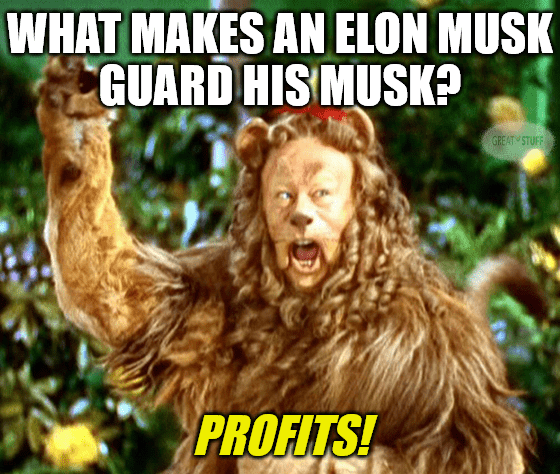 Tesla’s Split-Second Decision, Beyond’s Plant-Based Problem & Please Yield