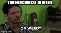 Invest cannabis stocks