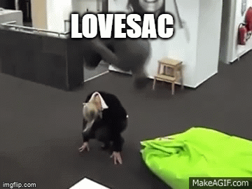 Lovesac stock climbing an enormous 30% after the market open
