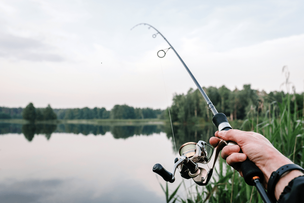 Fishing for stocks