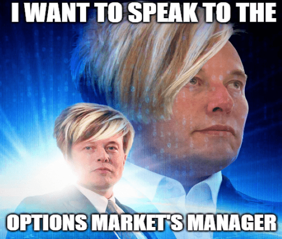 Elon Musk Tesla Options Market Meme