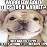 Worried About Stock Market Inflation Puppy Meme