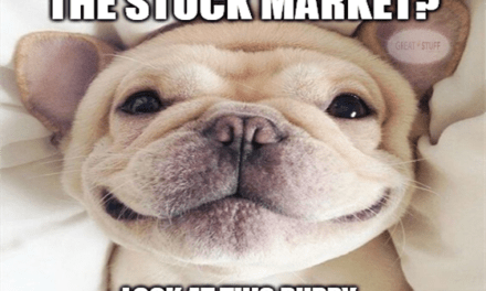 Worried About Stock Market Inflation Puppy Meme