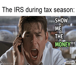 IRS this tax season show me money gif