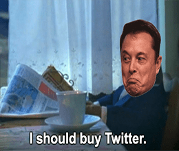Elon Musk I should buy Twitter meme