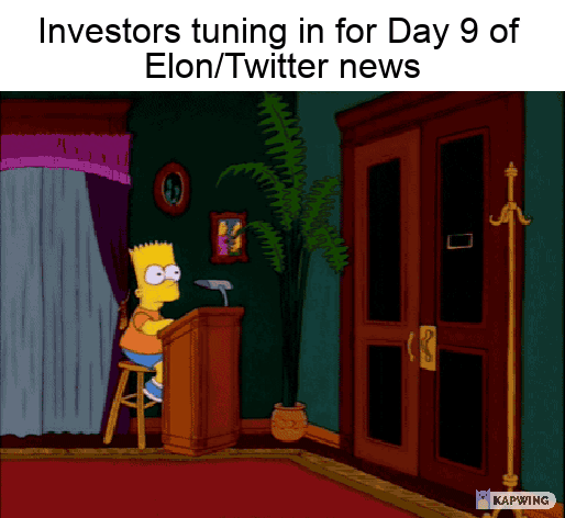 Day 9 Twitter/Elon News GIF