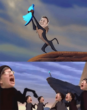 Elon Musk Twitter Deal Meme
