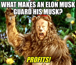 Elon Musk Tesla Protect Musk Meme