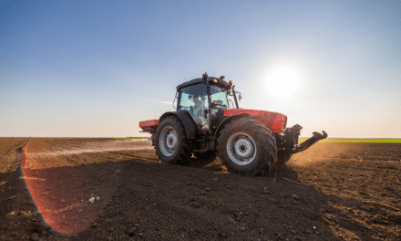 Fossil Fuels are not leaving anytime soon