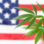 Cannabis Reform MORE act