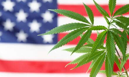 Cannabis Reform MORE act