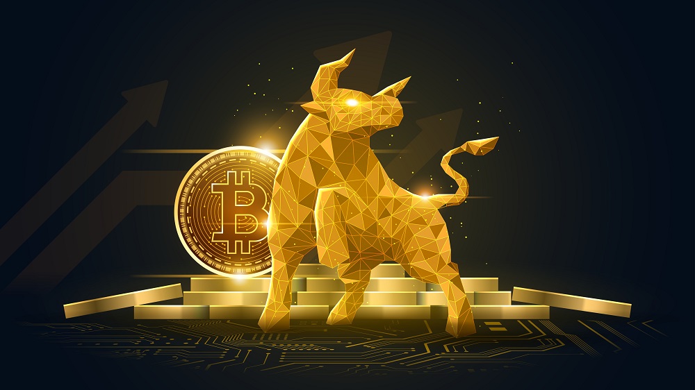 I believe crypto will outperform every other asset class over the next decade.