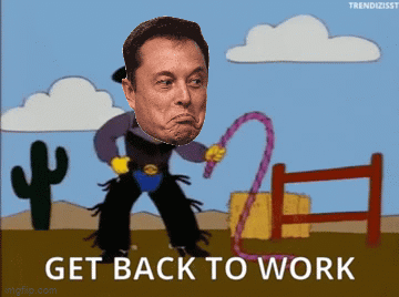 Elon Whip Back to Work GIF