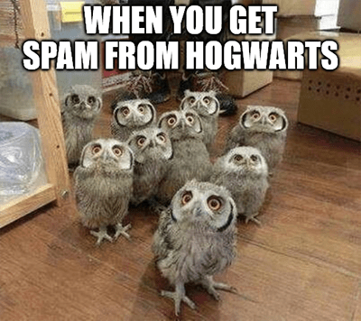 Spam From Hogwarts Meme