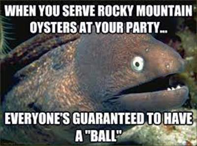 Rocky Mountain oysters meme