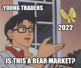 Is This A Bear Market Butterfly Young Traders Meme